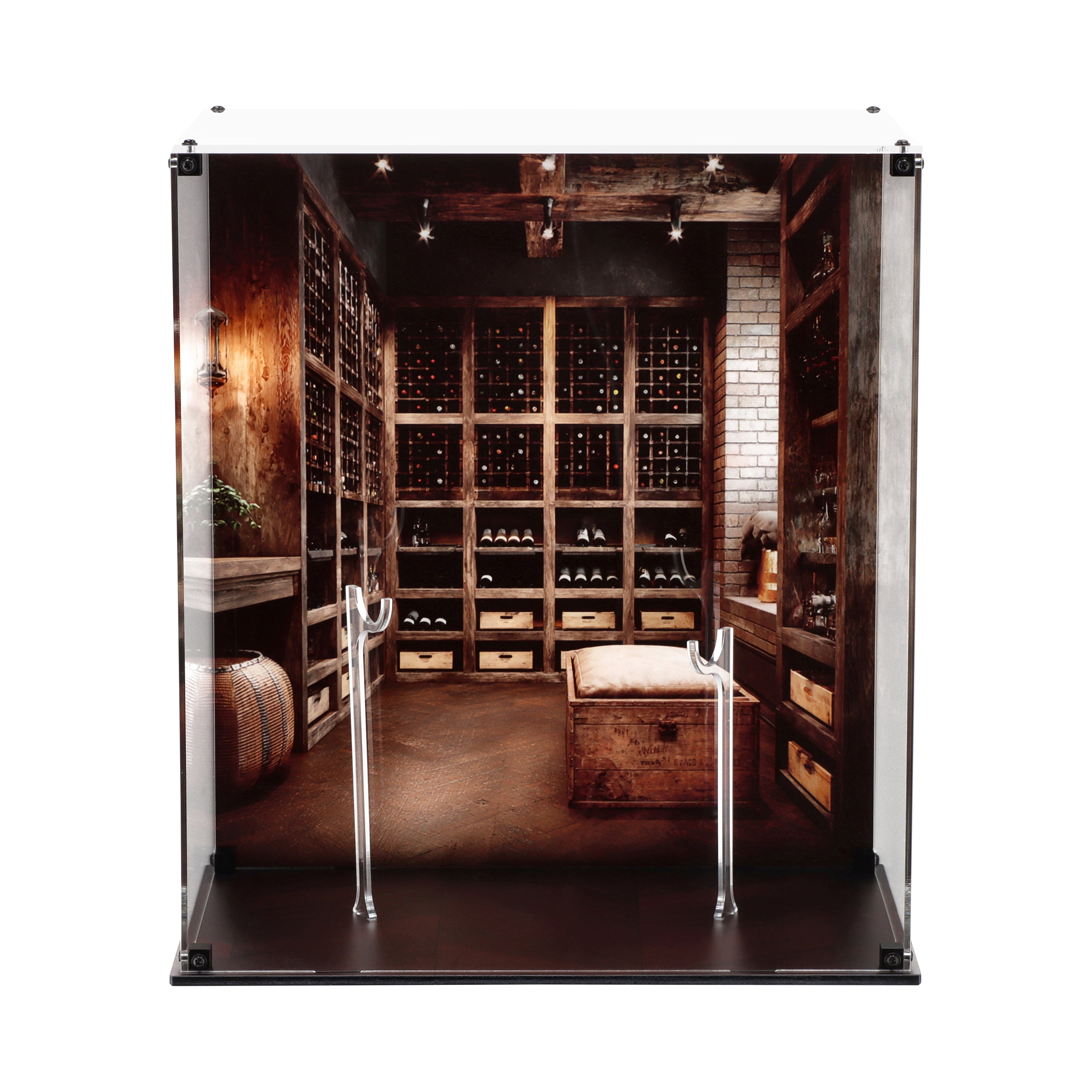 Dual Display Case for Hot Toys James Bond & Agent Paloma