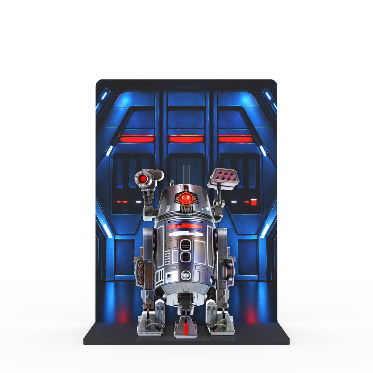 BT-1 - Printed Display Stand