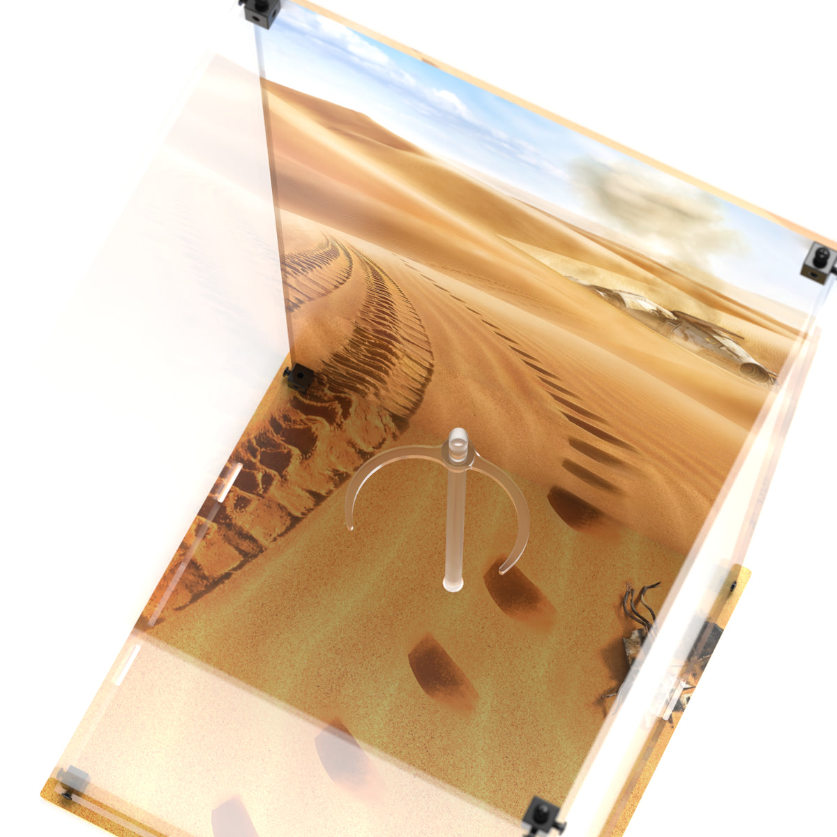Display Case for Hot Toys MMS650D46 Star Wars - C-3PO
