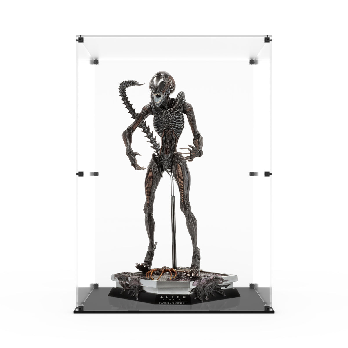 Display Case for Hot Toys MMS784 - Alien