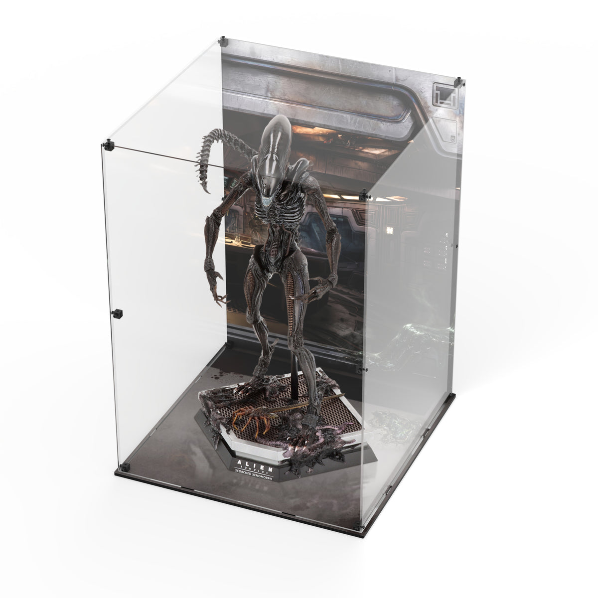 Display Case for Hot Toys MMS784 - Alien