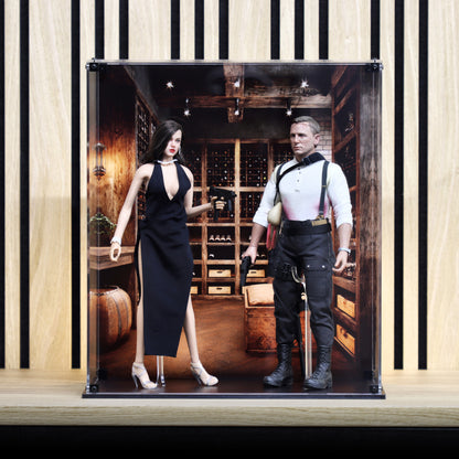 Dual Display Case for Hot Toys James Bond & Agent Paloma