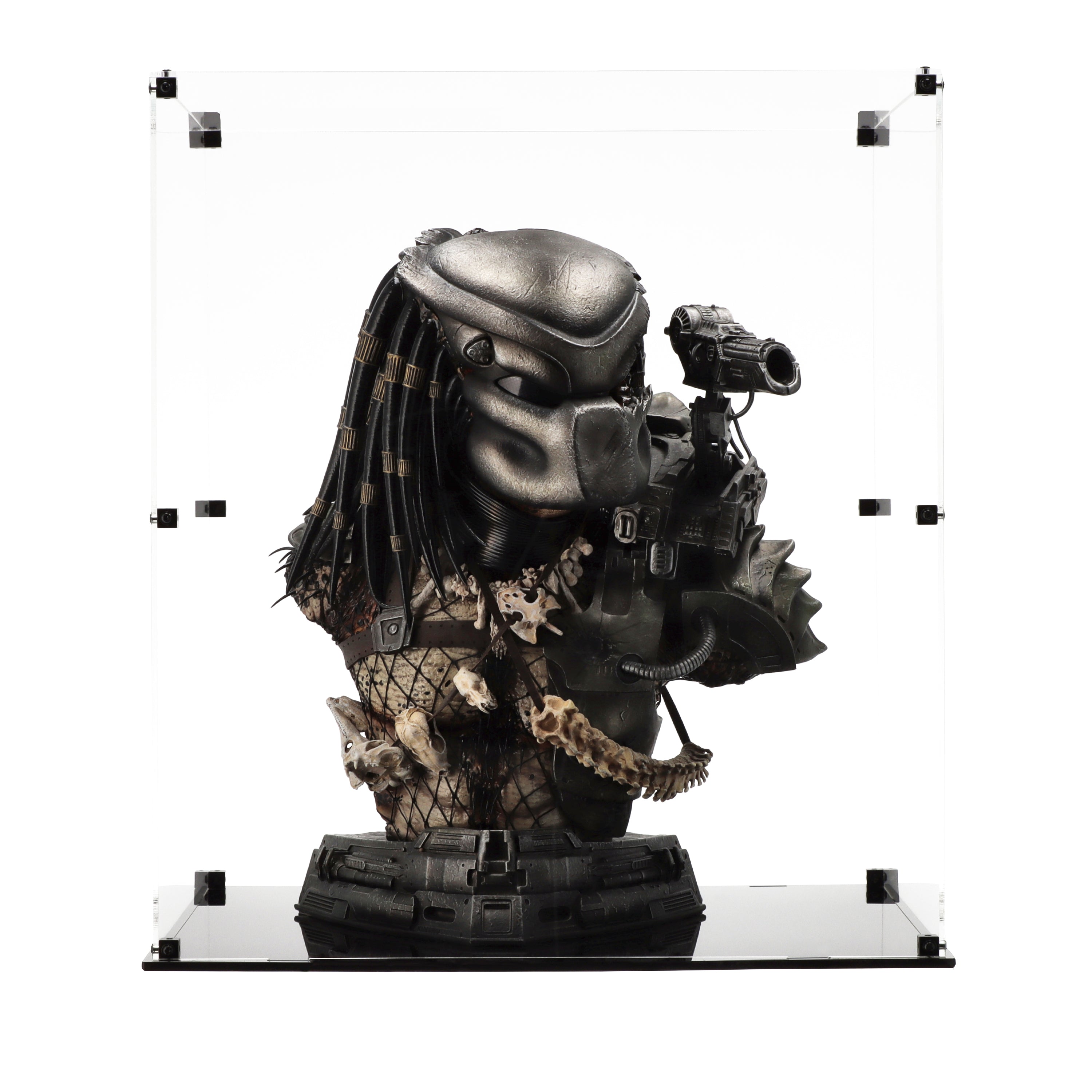 Display Case for Prime 1 Jungle Hunter Predator Bust Battle-Damaged