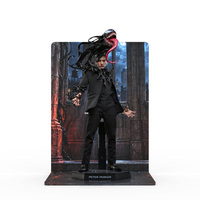 Hot Toys - MMS891 - Peter Parker - Printed Display Stand