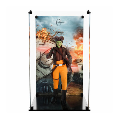 Display Case for Hot Toys TMS113 - Hera Syndula
