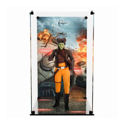 Display Case for Hot Toys TMS113 - Hera Syndula