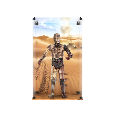 Display Case for Hot Toys MMS650D46 Star Wars - C-3PO