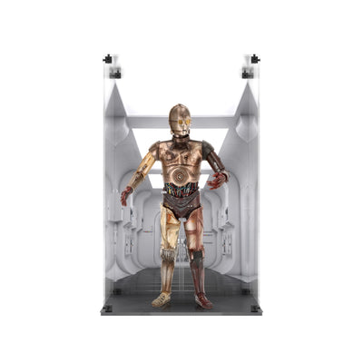 Display Case for Hot Toys MMS650D46 Star Wars - C-3PO