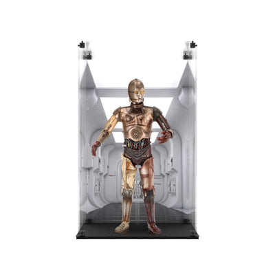 Display Case for Hot Toys MMS650D46 Star Wars - C-3PO