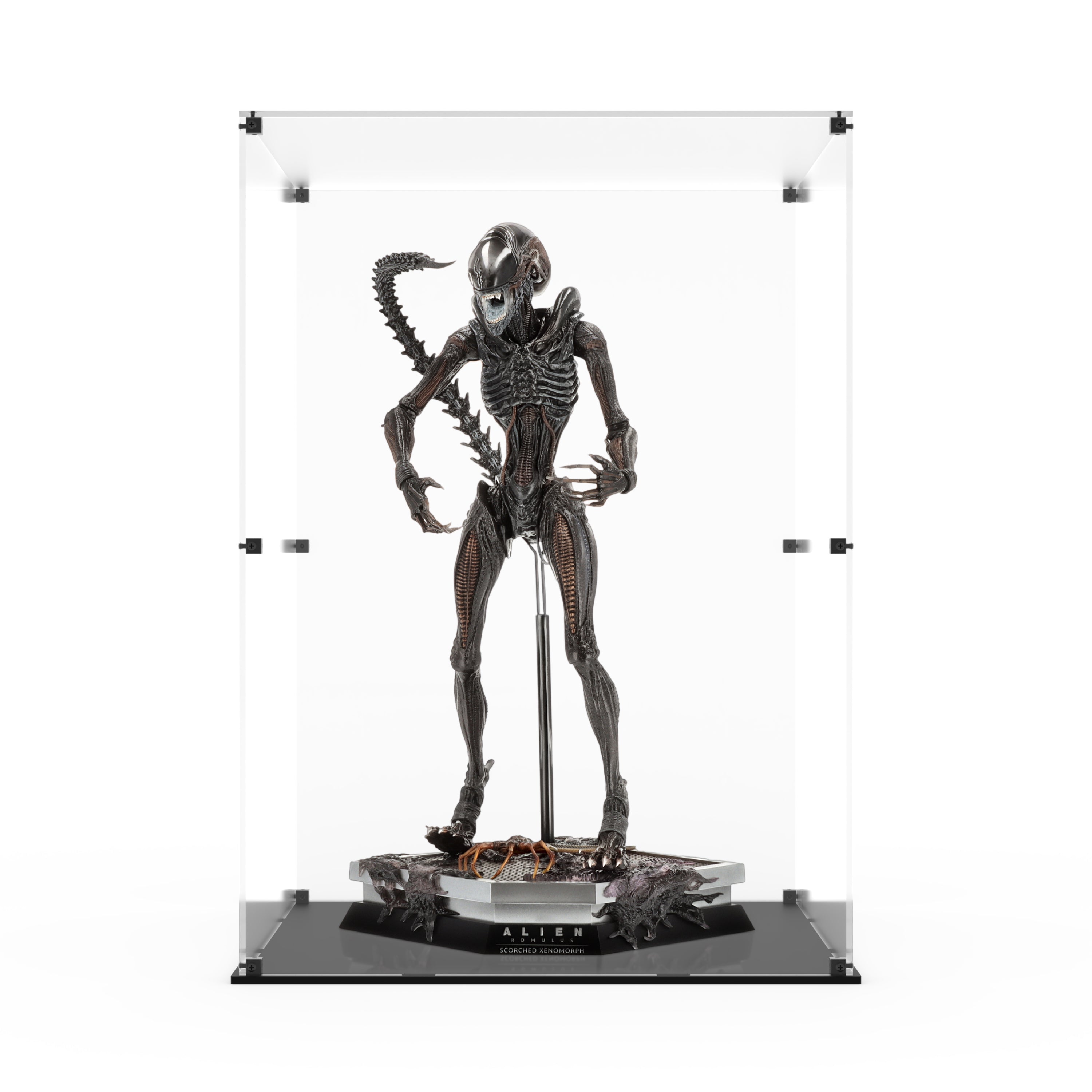 Display Case for Hot Toys MMS784 - Alien