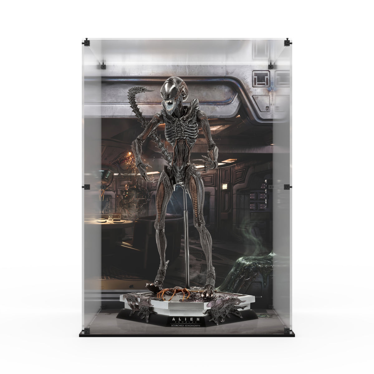 Display Case for Hot Toys MMS784 - Alien