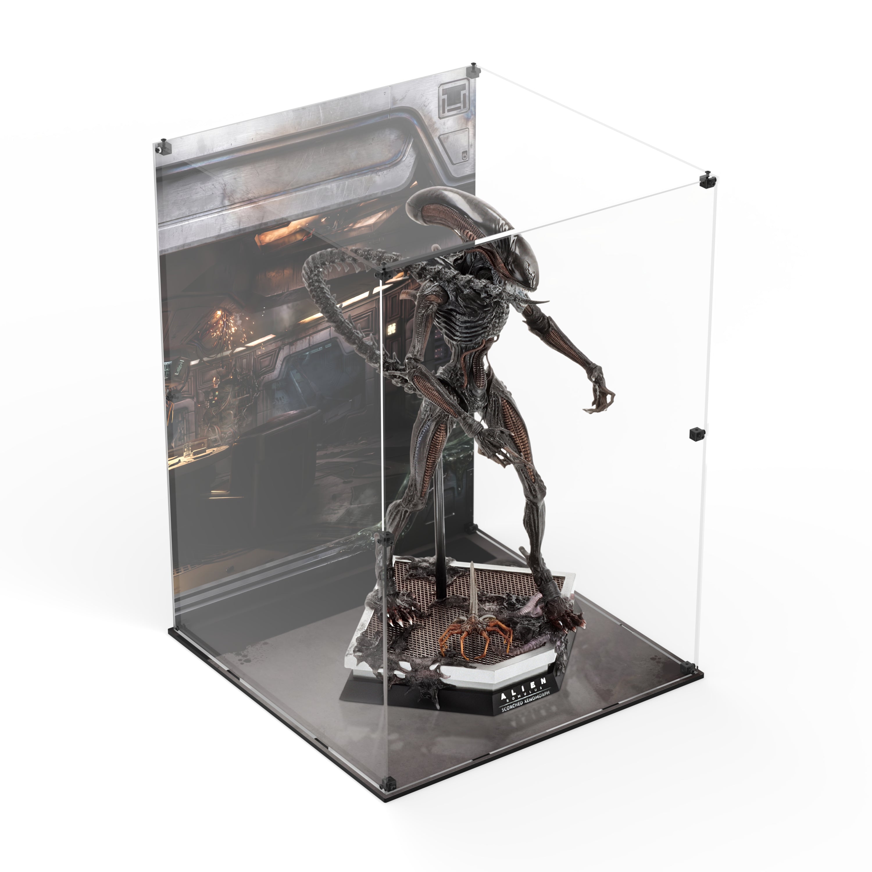 Display Case for Hot Toys MMS784 - Alien