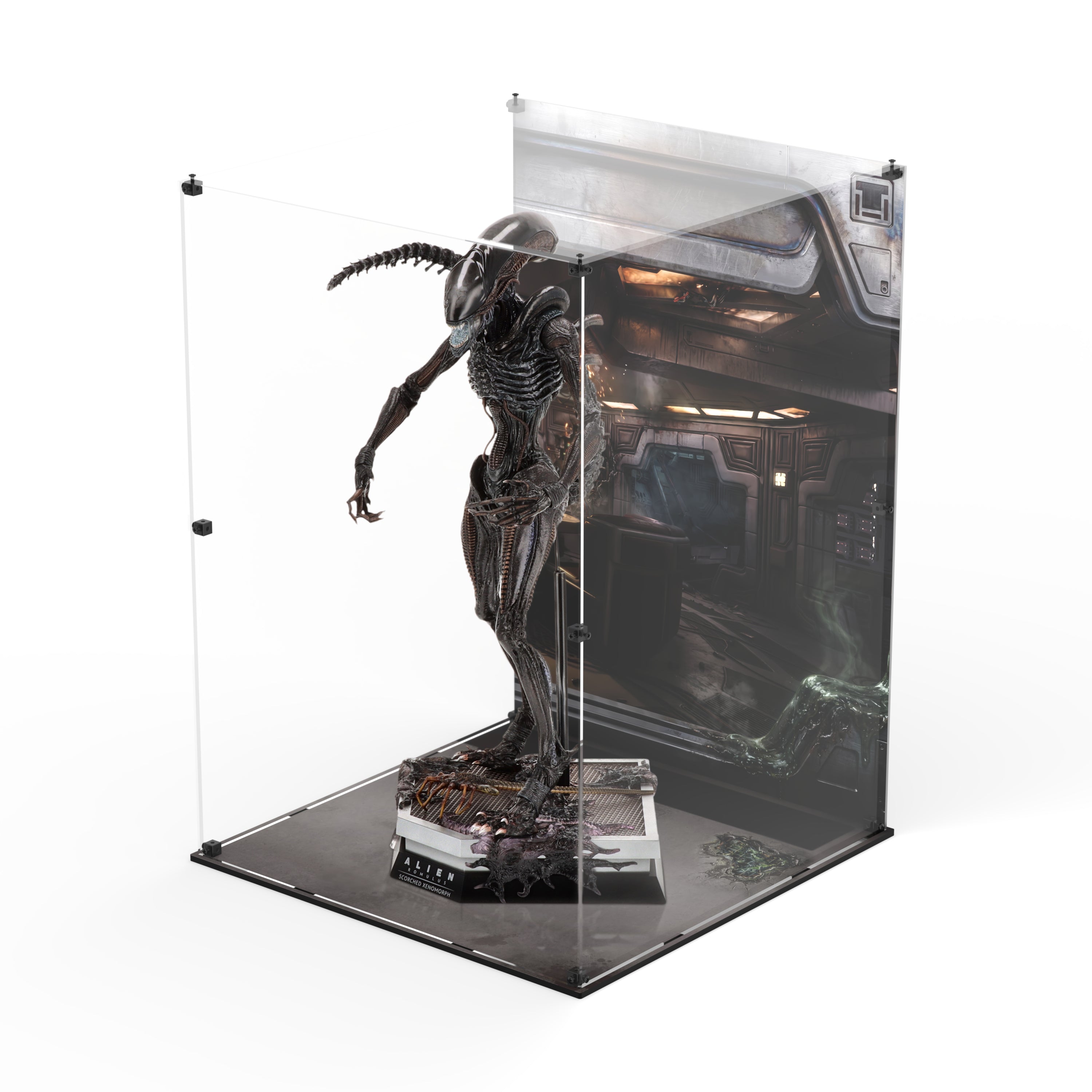 Display Case for Hot Toys MMS784 - Alien