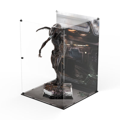 Display Case for Hot Toys MMS784 - Alien